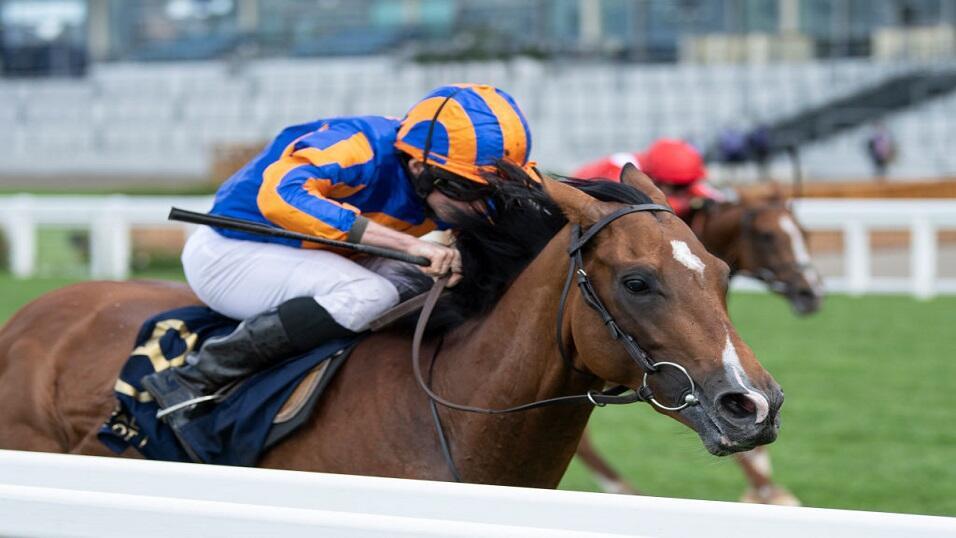 Ryan Moore and Santiago